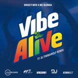 Artwork for "Vibe Alive"