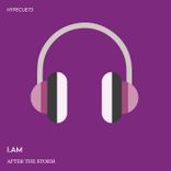 Artwork for "After The Storm"