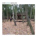 Artwork for "Gone Love"