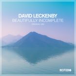 Portada para "Beautifully Incomplete"