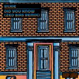 Artwork voor "Did You Know (Zed Bias Remix)"