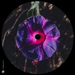 Artwork for "Look at Your Life"