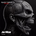 Artwork voor "Furiosa"