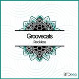 Portada para "Reckless"