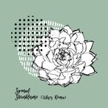 Artwork voor "Steinblume (Incl. ulises Remix)"