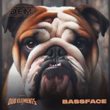 Portada para "Bassface"