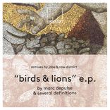 Artwork for "Birds & Lions EP"