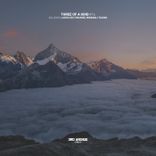 Artwork für "Three of a Kind #16"