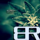 Portada para "Beat Therapy, Vol. 17 Compilation"