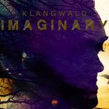 Artwork voor "Imaginary"