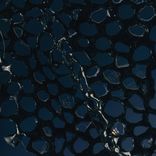 Portada para "waiting (All Night)"