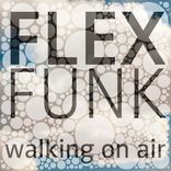 Artwork for "Walking on Air"
