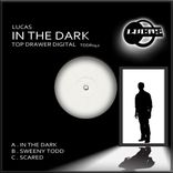 Artwork voor "In The Dark"