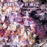 Artwork für "The Inner Shift"