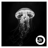 Portada para "Liquid Dreams"