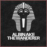 Artwork für "The Wanderer"