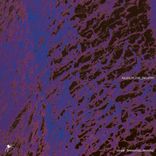 Artwork voor "Rules Of The Industry"