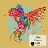 Artwork for "Symphony"