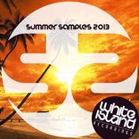 Portada para "Summer Samples 2013"
