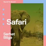 Artwork for "Safari"