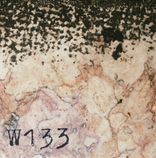 Artwork for "Fucky in BLN"