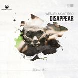 Artwork voor "Disappear"