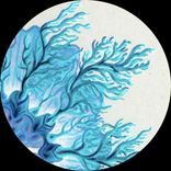 Artwork für "mosso009"