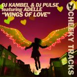 Artwork for "Wings Of Love"