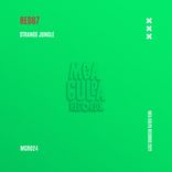 Artwork for "Strange Jungle"