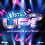 Artwork for "What's Up?"