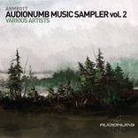 Artwork for "Audionumb Music Sampler, Vol. 2"