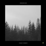 Artwork voor "Foggy Forest"