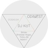 Portada para "Odinest"