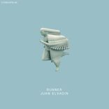 Portada para "Runner"