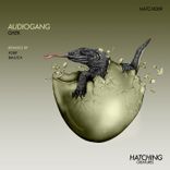 Artwork for "Audiogang"