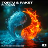 Artwork for "Fussion"