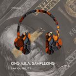 Artwork for "Can You Feel It?"