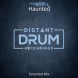 Artwork for "Haunted (Extended Mix)"