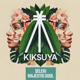 Artwork for "Majestic Soul"