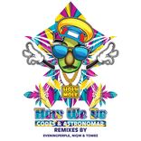 Artwork for "How We Do"