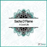 Artwork voor "A Good Life"