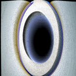 Artwork for "Stroke"