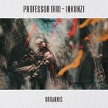 Artwork for "Inkunzi"