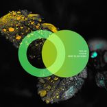 Artwork für "Kyoshi"