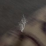 Artwork voor "perfect"