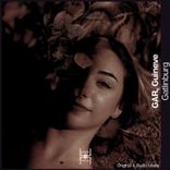 Artwork voor "Gatlinburg"