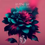 Portada para "In the Air (Dan Dara Dan)"