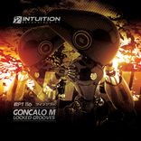 Artwork for "Locked Grooves"