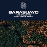 Artwork voor "Barasuayo"