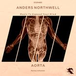 Artwork for "Aorta"